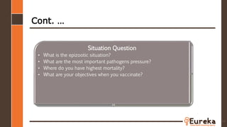 Cont. …
64
Problem Question
Implication Question Need-Payoff Question
Situation Question
• What is the epizootic situation?
• What are the most important pathogens pressure?
• Where do you have highest mortality?
• What are your objectives when you vaccinate?
 