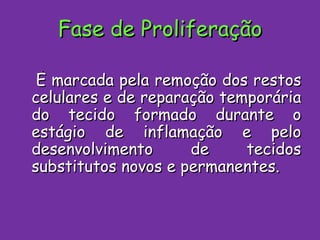 Fase de Proliferação É marcada pela remoção dos restos celulares e de reparação temporária do tecido formado durante o estágio de inflamação e pelo desenvolvimento de tecidos substitutos novos e permanentes. 