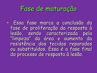 Fase de maturação Essa fase marca a conclusão da fase de proliferação da resposta à lesão, sendo caracterizada pela “limpeza” da área e aumento da resistência dos tecidos reparados ou substituídos. Essa é a fase final do processo de resposta à lesão. 