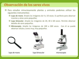  Para estudiar minuciosamente plantas y animales podemos utilizar los
  siguientes instrumentos:
    Lupa de mano. Amplía las imágenes de 4 a 10 veces. Es perfecta para observar
     insectos y otros seres pequeños.
    Lupa binocular. Amplía las imágenes de 20, 40 ó 60 veces. Permite observar
     detalles de seres pequeños.
    Microscopio. Amplía las imágenes de 100 a 300 veces. Con él se puede
     observar células y seres muy, muy pequeños.




   lupa de mano                lupa binocular             microscopio
 