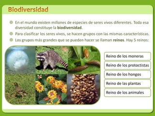  En el mundo existen millones de especies de seres vivos diferentes. Toda esa
  diversidad constituye la biodiversidad.
 Para clasificar los seres vivos, se hacen grupos con las mismas características.
 Los grupos más grandes que se pueden hacer se llaman reinos. Hay 5 reinos:


                                                        Reino de los moneras

                                                        Reino de los protoctistas

                                                        Reino de los hongos

                                                        Reino de las plantas

                                                        Reino de los animales
 