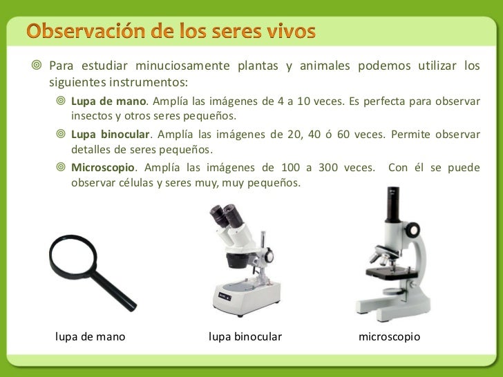 Los seres vivos