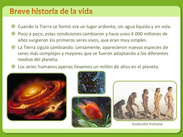 Las cápsulas del hongo de las uñas en los pies