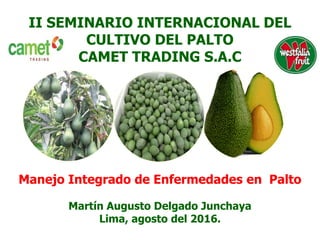 II SEMINARIO INTERNACIONAL DEL
CULTIVO DEL PALTO
CAMET TRADING S.A.C
Manejo Integrado de Enfermedades en Palto
Martín Augusto Delgado Junchaya
Lima, agosto del 2016.
 