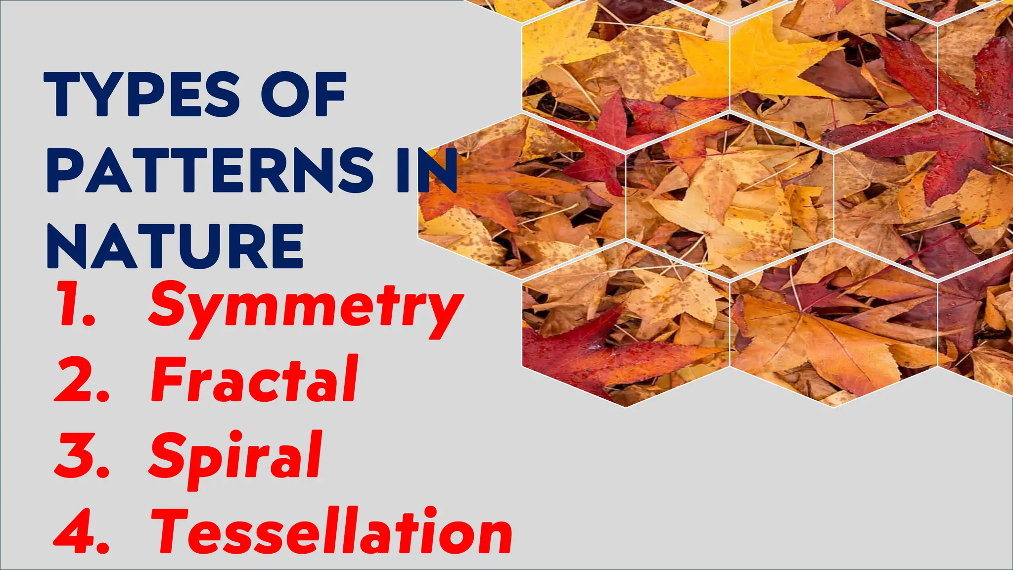 TYPES OF
PATTERNS IN
NATURE
1. Symmetry
2. Fractal
3. Spiral
4. Tessellation
 