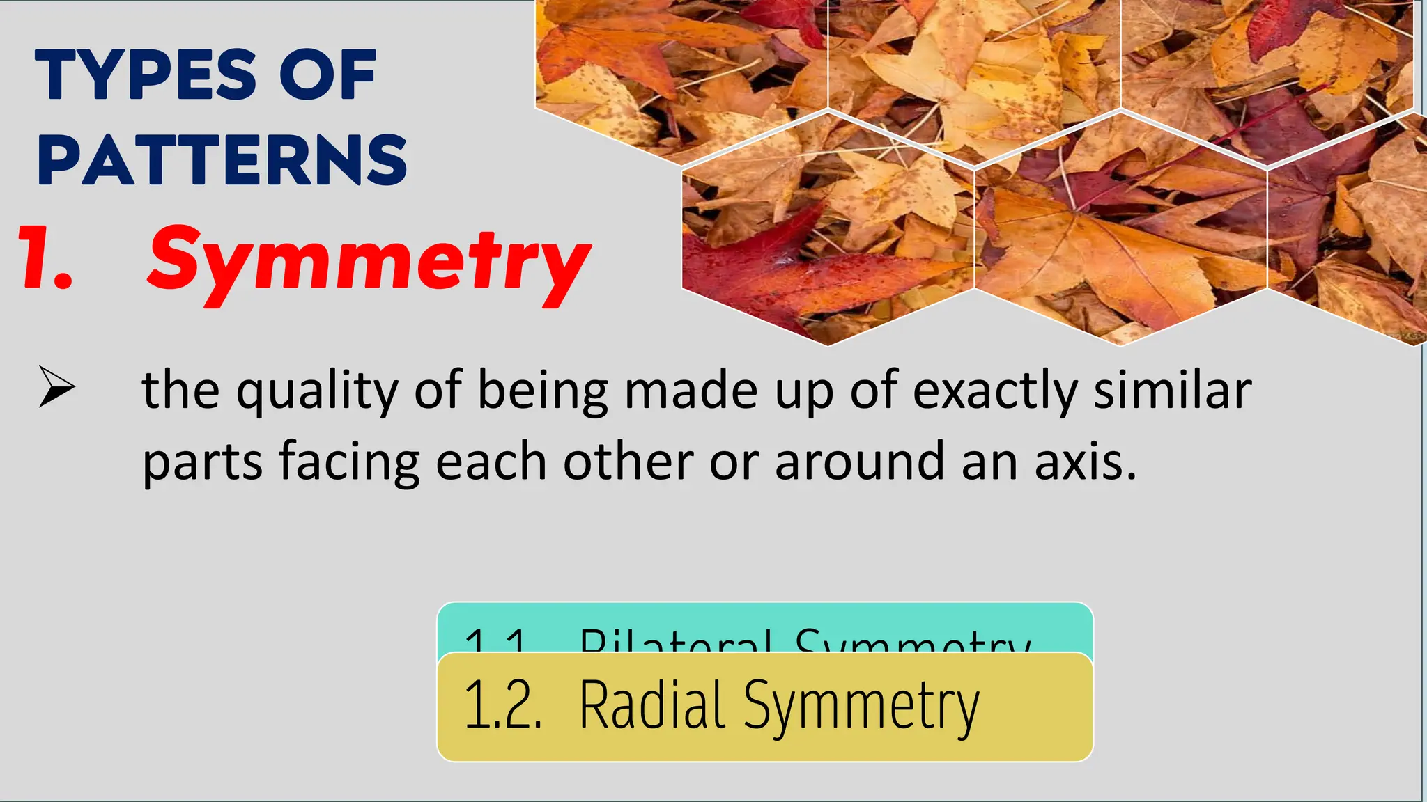 TYPES OF
PATTERNS
1. Symmetry
➢ the quality of being made up of exactly similar
parts facing each other or around an axis.
1.1. Bilateral Symmetry
1.2. Radial Symmetry
 