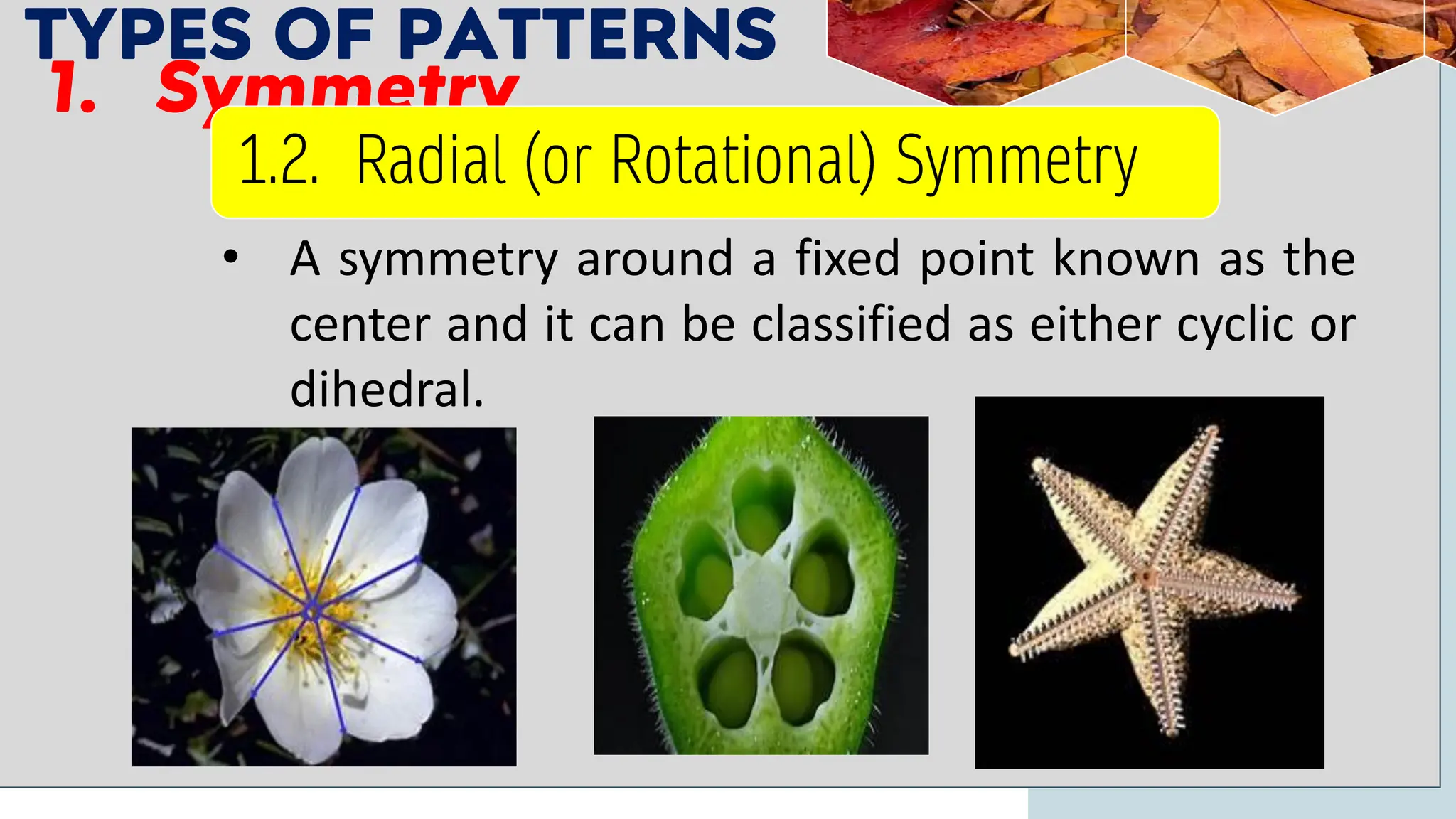 TYPES OF PATTERNS
1. Symmetry
• A symmetry around a fixed point known as the
center and it can be classified as either cyclic or
dihedral.
1.2. Radial (or Rotational) Symmetry
 