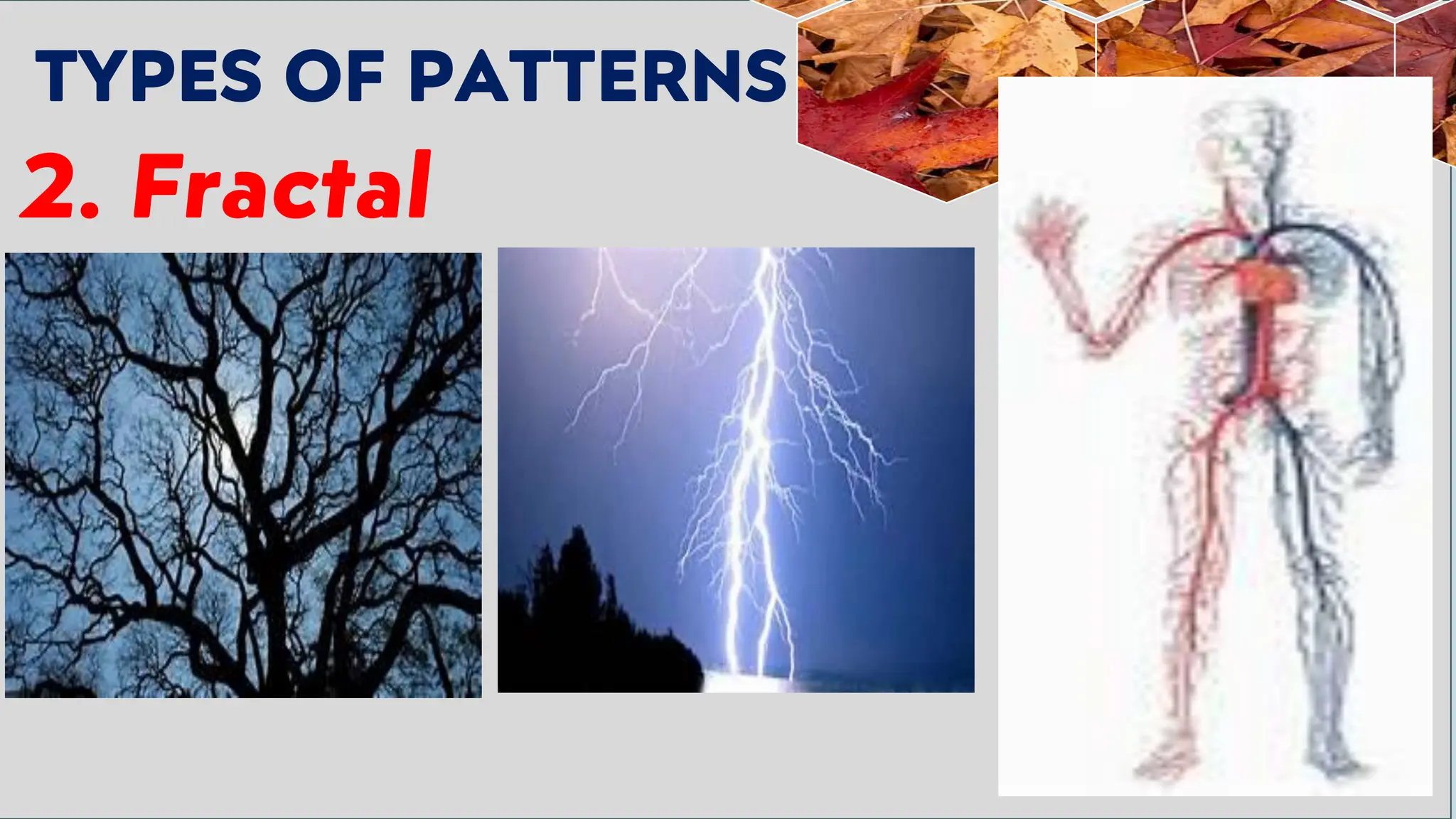 TYPES OF PATTERNS
2. Fractal
 