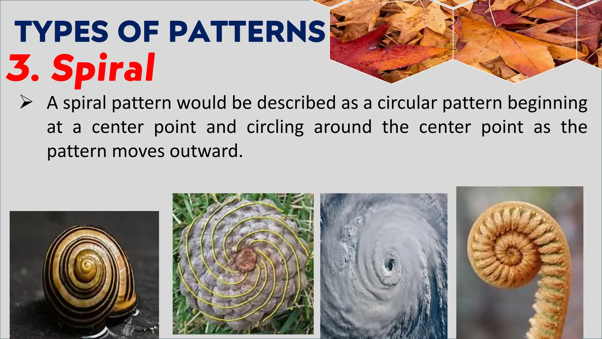 TYPES OF PATTERNS
3. Spiral
➢ A spiral pattern would be described as a circular pattern beginning
at a center point and circling around the center point as the
pattern moves outward.
 