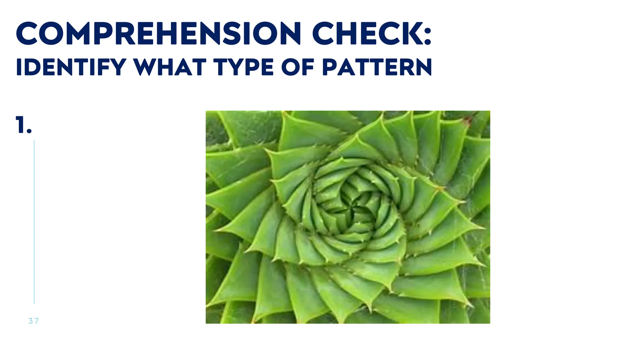 3 7
COMPREHENSION CHECK:
IDENTIFY WHAT TYPE OF PATTERN
1.
 