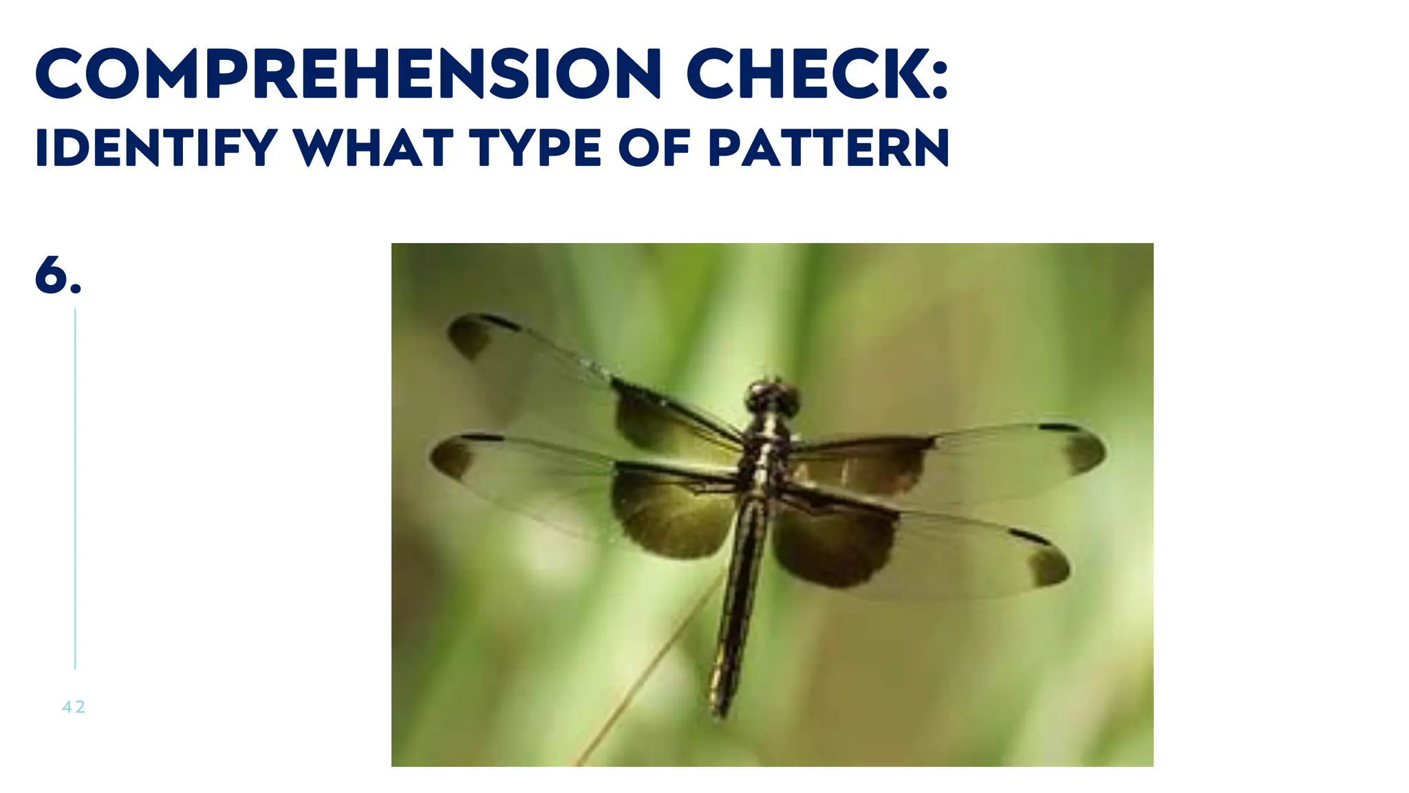 4 2
COMPREHENSION CHECK:
IDENTIFY WHAT TYPE OF PATTERN
6.
 