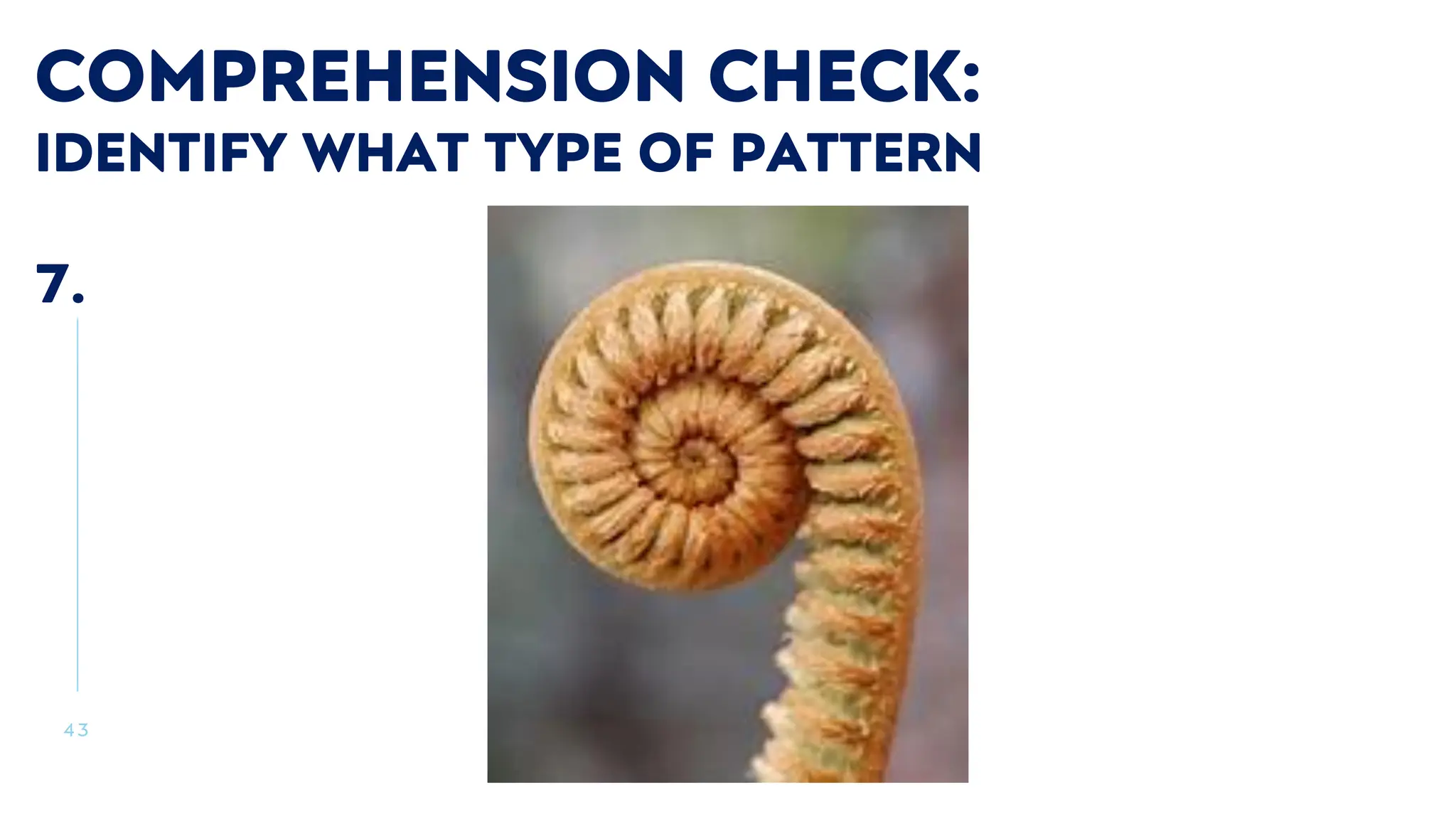 4 3
COMPREHENSION CHECK:
IDENTIFY WHAT TYPE OF PATTERN
7.
 