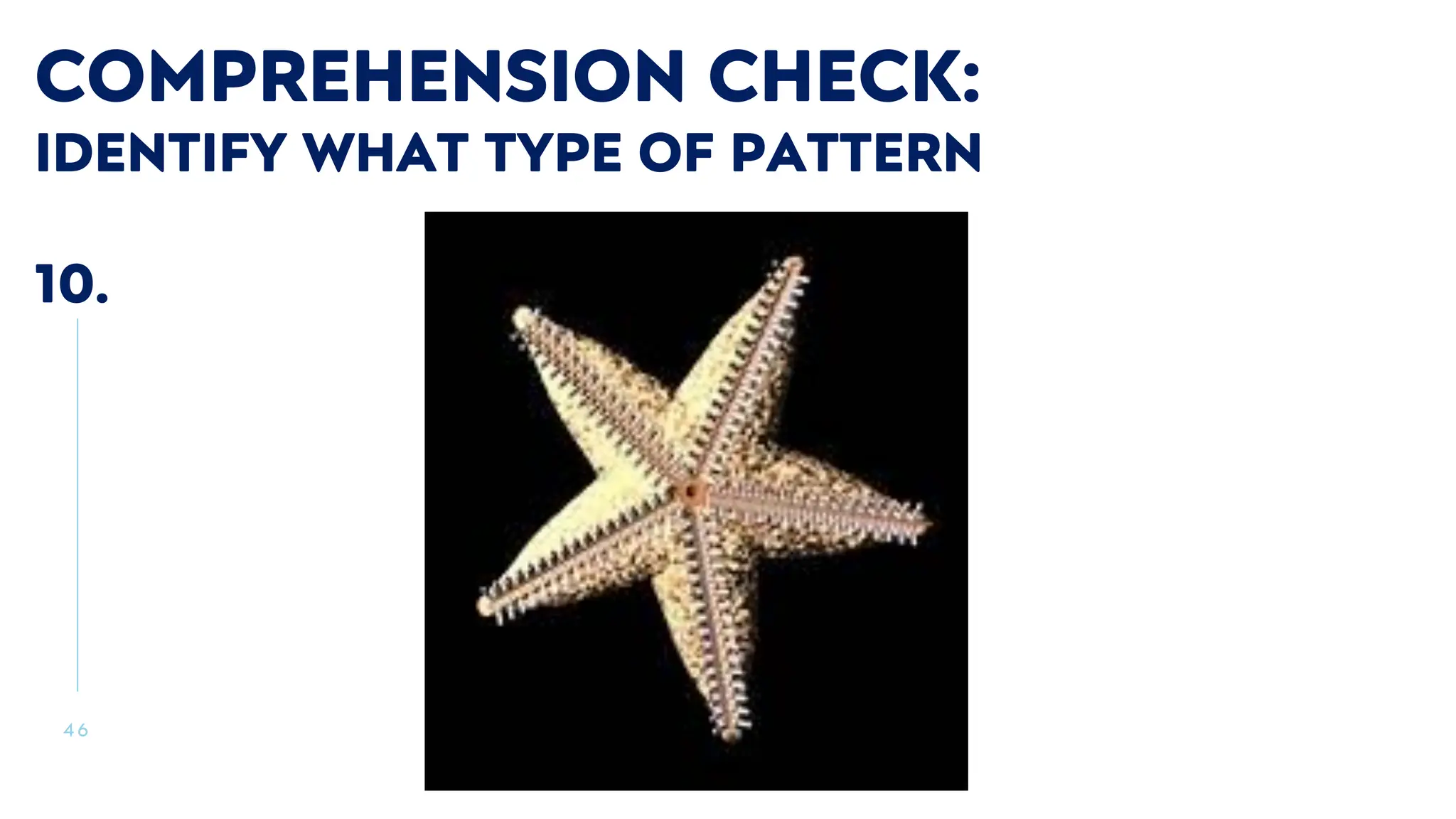 4 6
COMPREHENSION CHECK:
IDENTIFY WHAT TYPE OF PATTERN
10.
 