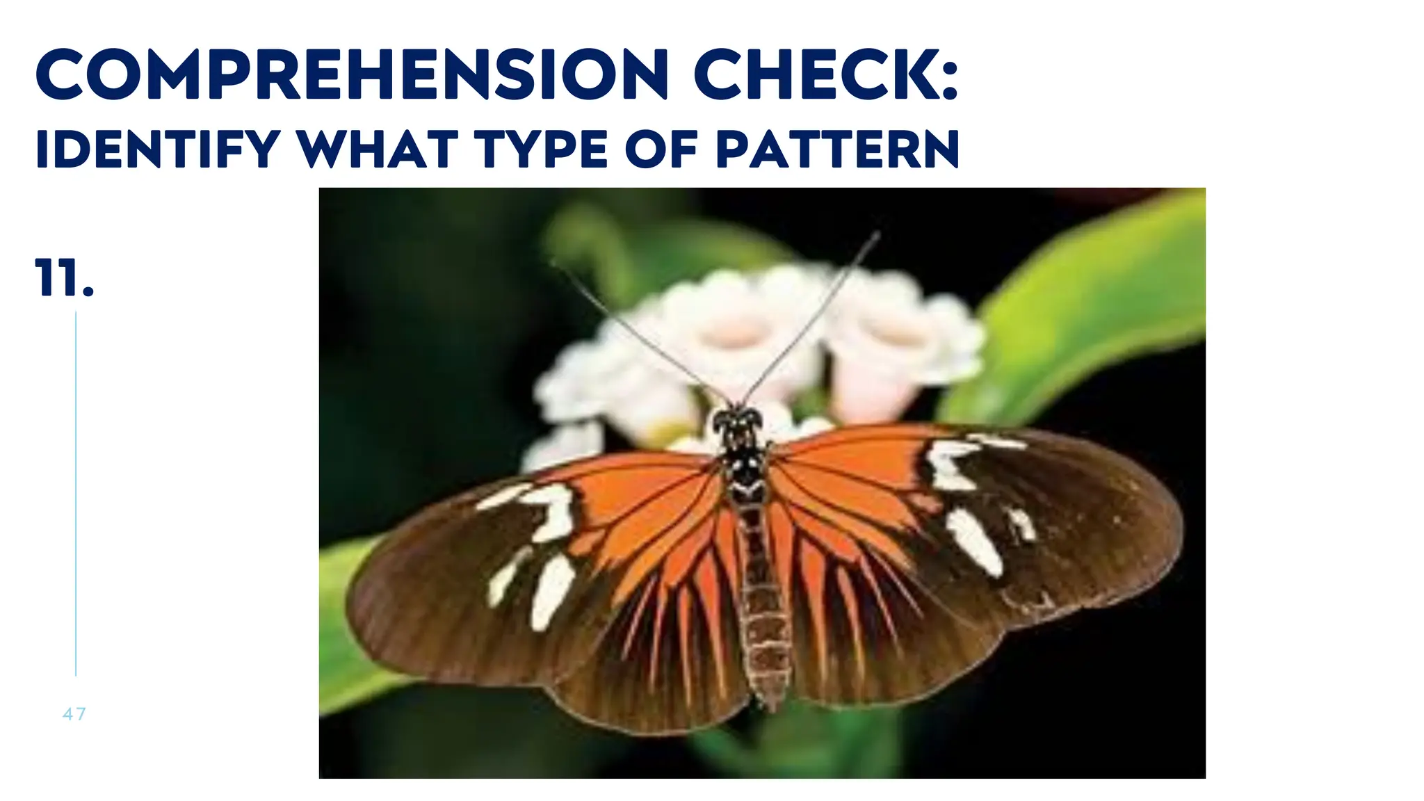 4 7
COMPREHENSION CHECK:
IDENTIFY WHAT TYPE OF PATTERN
11.
 