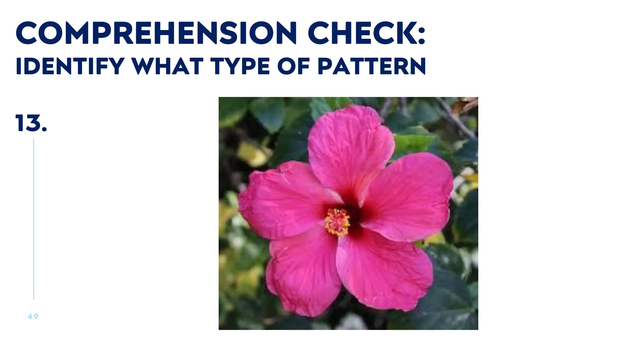 4 9
COMPREHENSION CHECK:
IDENTIFY WHAT TYPE OF PATTERN
13.
 