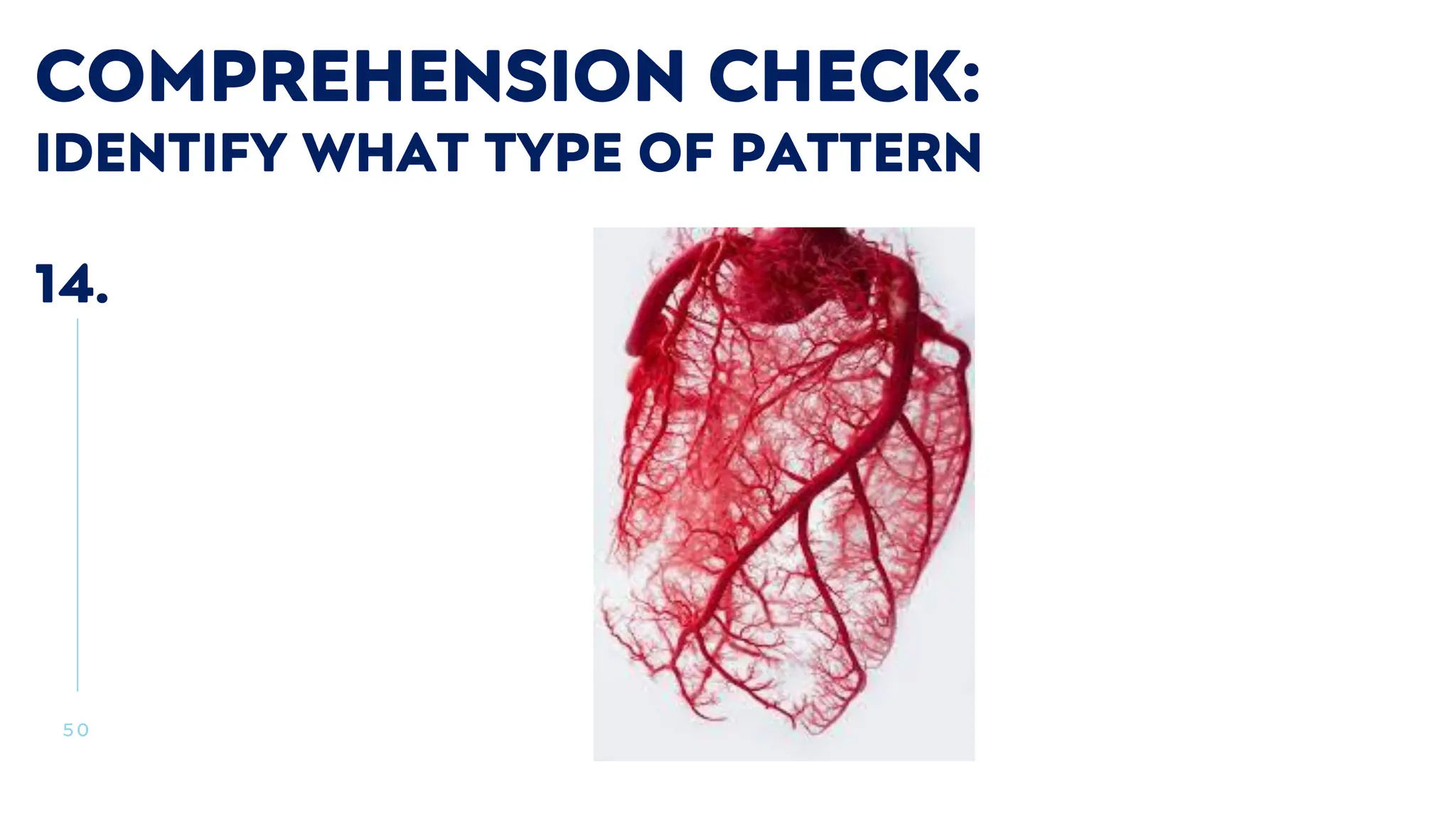 5 0
COMPREHENSION CHECK:
IDENTIFY WHAT TYPE OF PATTERN
14.
 