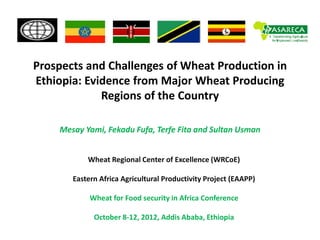 Prospects and Challenges of Wheat Production in
Ethiopia: Evidence from Major Wheat Producing
             Regions of the Country

    Mesay Yami, Fekadu Fufa, Terfe Fita and Sultan Usman


           Wheat Regional Center of Excellence (WRCoE)

       Eastern Africa Agricultural Productivity Project (EAAPP)

            Wheat for Food security in Africa Conference

             October 8-12, 2012, Addis Ababa, Ethiopia
 