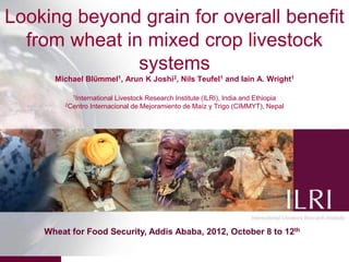 Looking beyond grain for overall benefit
  from wheat in mixed crop livestock
               systems
      Michael Blϋmmel1, Arun K Joshi2, Nils Teufel1 and Iain A. Wright1

          1International  Livestock Research Institute (ILRI), India and Ethiopia
        2Centro   Internacional de Mejoramiento de Maíz y Trigo (CIMMYT), Nepal




    Wheat for Food Security, Addis Ababa, 2012, October 8 to 12th
                                                                                    1
 