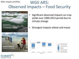 Observed 
Impacts 
– 
Food 
Security 
CLIMATE 
ANALYTICS 9/22/14 
WGII 
AR5: 
• Significant 
observed 
impacts 
on 
crop 
yields 
over 
1960-­‐2013 
period 
due 
to 
climate 
change 
• Strongest 
impacts 
wheat 
and 
maize 
WGII: 
Impacts 
and 
Risks 
 