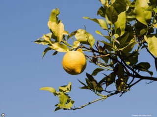 Created with Haiku Deck  