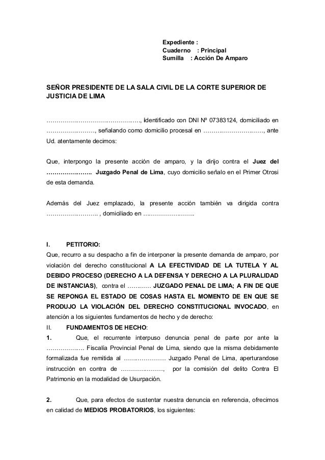 Modelos de demandas de amparo