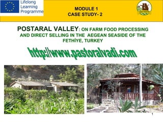 1
POSTARAL VALLEY: ON FARM FOOD PROCESSING
AND DIRECT SELLING IN THE AEGEAN SEASIDE OF THE
FETHİYE, TURKEY
MODULE 1
CASE STUDY- 2
 