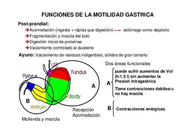 01- Motilidad