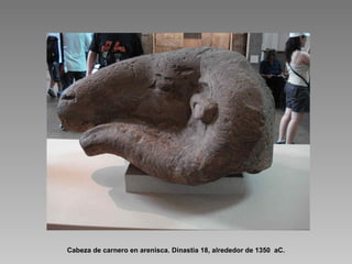 Cabeza de carnero en arenisca. Dinastia 18, alrededor de 1350  aC. 