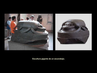 . Escultura gigante de un escarabajo. 