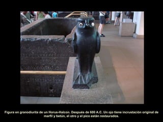 Figura en granodiurita de un Horus-Halcon. Después de 600 A.C. Un ojo tiene incrustación original de marfil y betún, el otro y el pico están restaurados. 