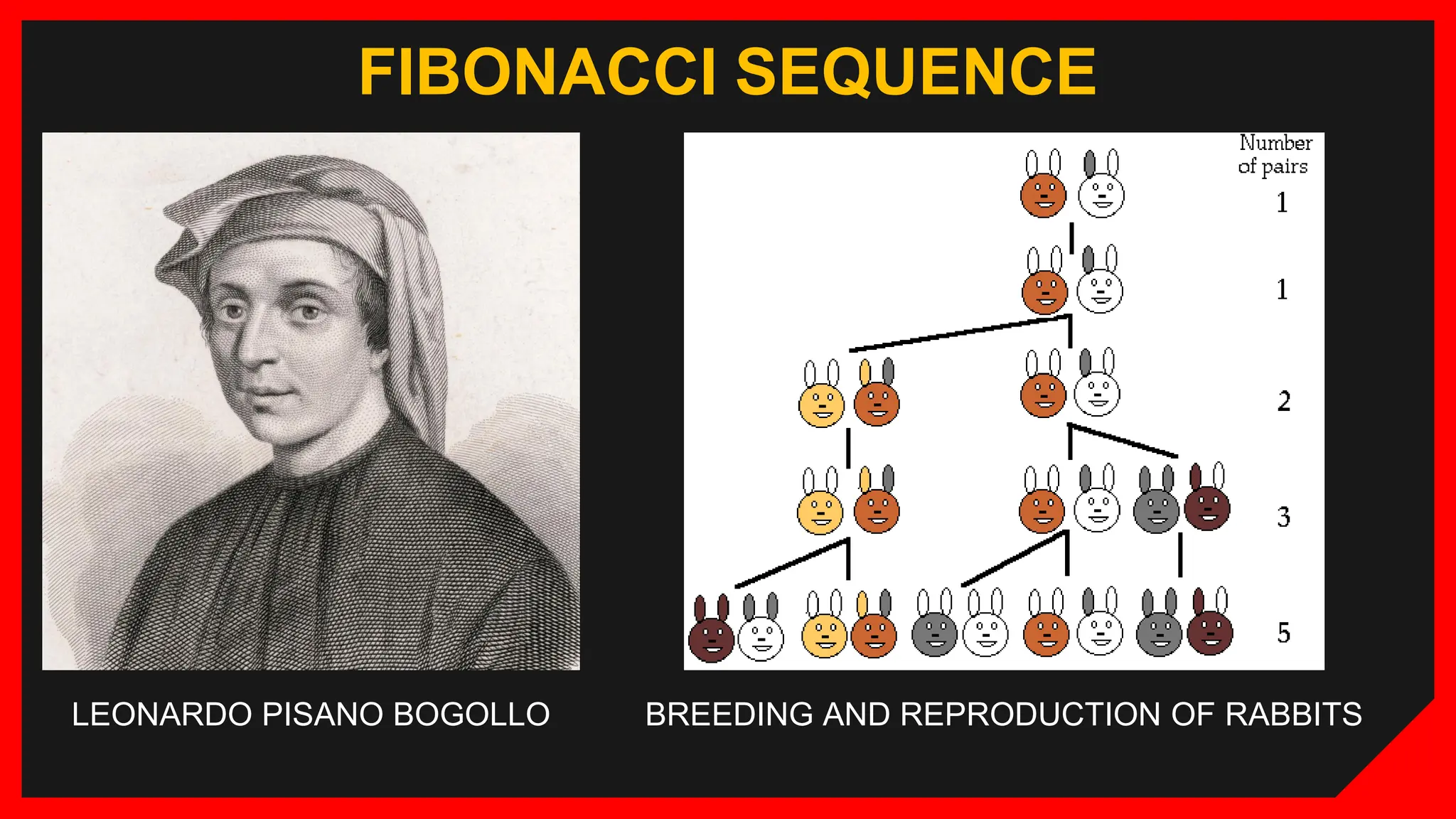 FIBONACCI SEQUENCE
LEONARDO PISANO BOGOLLO BREEDING AND REPRODUCTION OF RABBITS
 