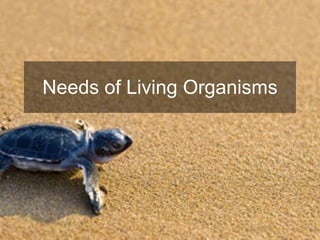 Needs of Living Organisms 