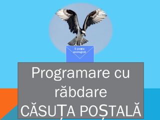 E-po taș
ecologică
Programare cu
răbdare
CĂSUȚA POȘTALĂ
 