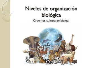 Niveles de organización
       biológica
   Creemos cultura ambiental
 