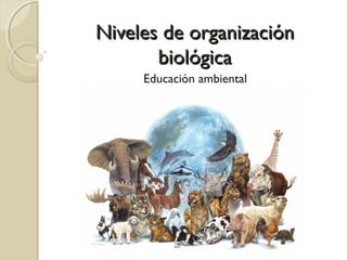 Niveles de organización
       biológica
     Educación ambiental
 