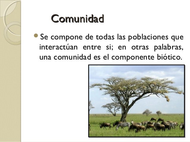 Niveles de organización biológica