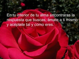 En tu interior de tu alma encontraras la
respuesta que buscas, ámate a ti mismo
y acéptate tal y como eres.
 
