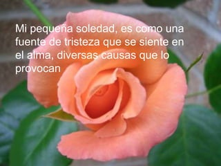 Mi pequeña soledad, es como una
fuente de tristeza que se siente en
el alma, diversas causas que lo
provocan
 