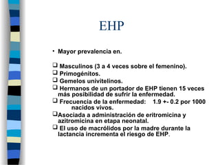 EHP
• Mayor prevalencia en.
 Masculinos (3 a 4 veces sobre el femenino).
 Primogénitos.
 Gemelos univitelinos.
 Hermanos de un portador de EHP tienen 15 veces
más posibilidad de sufrir la enfermedad.
 Frecuencia de la enfermedad: 1.9 +- 0.2 por 1000
nacidos vivos.
Asociada a administración de eritromicina y
azitromicina en etapa neonatal.
 El uso de macrólidos por la madre durante la
lactancia incrementa el riesgo de EHP.
 