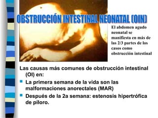 Las causas más comunes de obstrucción intestinal
(OI) en:
 La primera semana de la vida son las
malformaciones anorectales (MAR)
 Después de la 2a semana: estenosis hipertrófica
de píloro.
El abdomen agudo
neonatal se
manifiesta en más de
las 2/3 partes de los
casos como
obstrucción intestinal
 