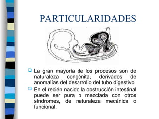 PARTICULARIDADES
 La gran mayoría de los procesos son de
naturaleza congénita, derivados de
anomalías del desarrollo del tubo digestivo
 En el recién nacido la obstrucción intestinal
puede ser pura o mezclada con otros
síndromes, de naturaleza mecánica o
funcional.
 