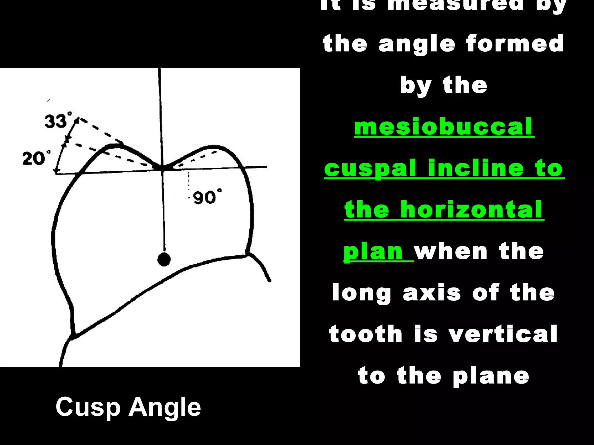 Messially Angulated 01 occlusion in prosthodontics introduction - stomatognathic system ...