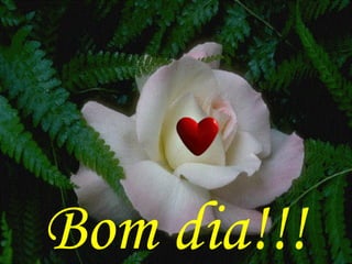 Bom dia!!! 