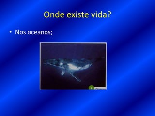 Onde existe vida?
• Nos oceanos;
 