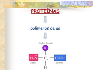 PROTEÍNAS
polímeros de aa
amino carboxil
Cadeia Lateral
 