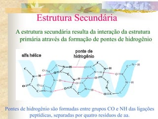 Estrutura Secundária
A estrutura secundária resulta da interação da estrutura
primária através da formação de pontes de hidrogênio
Pontes de hidrogênio são formadas entre grupos CO e NH das ligações
peptídicas, separadas por quatro resíduos de aa.
 