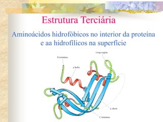 Estrutura Terciária
Aminoácidos hidrofóbicos no interior da proteína
e aa hidrofílicos na superfície
 