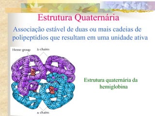 Estrutura Quaternária
Associação estável de duas ou mais cadeias de
polipeptídios que resultam em uma unidade ativa
Estrutura quaternária da
hemiglobina
 