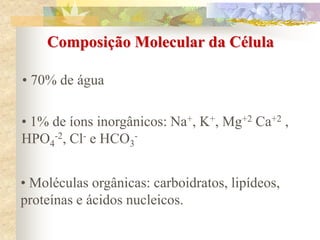 Composição Molecular da Célula
• 70% de água
• 1% de íons inorgânicos: Na+, K+, Mg+2 Ca+2 ,
HPO4
-2, Cl- e HCO3
-
• Moléculas orgânicas: carboidratos, lipídeos,
proteínas e ácidos nucleicos.
 