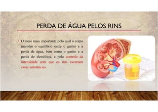 • O meio mais importante pelo qual o corpo
mantém o equilíbrio entre o ganho e a
perda de água, bem como o ganho e a
perda de eletrólitos, é pelo controle da
intensidade com que os rins excretam
essas substâncias.
PERDA DE ÁGUA PELOS RINS
 